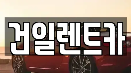 경상남도 김해시 동상동 렌트카 전문 건일렌트카