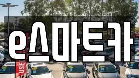 경상남도 김해시 동상동 장기렌트카 전문 e스마트카