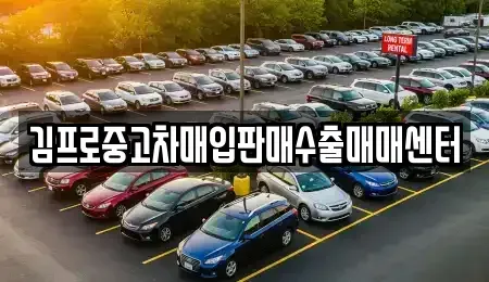 경상남도 김해시 동상동 중고차매입 전문 김프로중고차매입판매수출매매센터