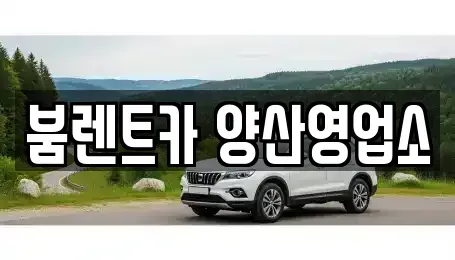 경상남도 양산시 다방동 렌트카 전문 붐렌트카 양산영업소