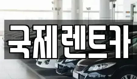경상북도 구미시 비산동 렌트카 전문 국제렌트카