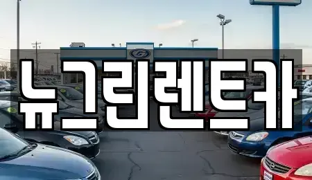경상북도 구미시 비산동 렌트카 전문 뉴그린렌트카