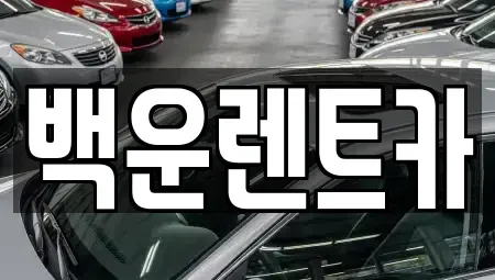 경상북도 구미시 비산동 렌트카 전문 백운렌트카