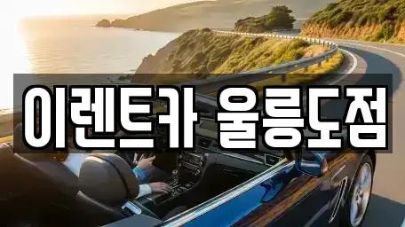 경상북도 렌트카 전문 이렌트카 울릉도점