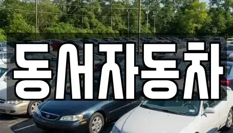 경상북도 상주시 병성동 중고차매매 전문 동서자동차