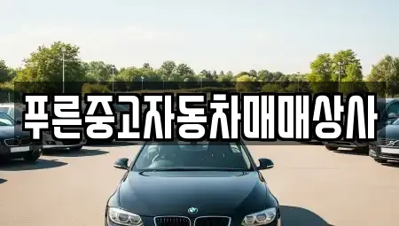 경상북도 중고차 전문 푸른중고자동차매매상사