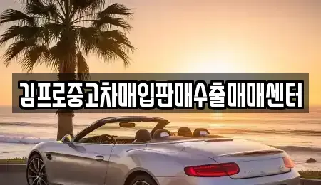 경상북도 중고차매입 전문 김프로중고차매입판매수출매매센터