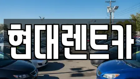 경상북도 포항시 남구 대도동 렌트카 전문 현대렌트카