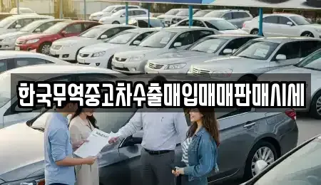 경상북도 포항시 남구 대도동 중고차 전문 한국무역중고차수출매입매매판매시세