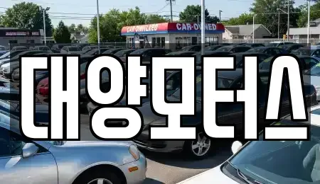 광주광역시 남구 양과동 중고차 전문 대양모터스