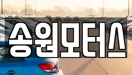 광주광역시 남구 양과동 중고차매입 전문 송원모터스