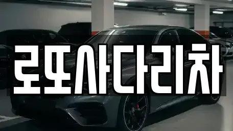 광주광역시 남구 행암동 중고차매입 전문 로또사다리차