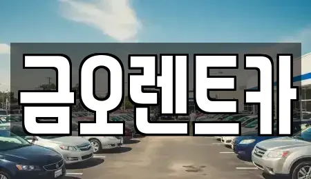 대구광역시 중구 태평로2가 장기렌트카 전문 금오렌트카