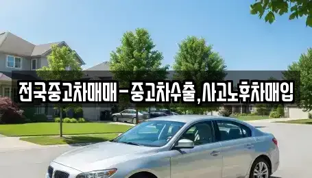 대구광역시 중구 태평로2가 중고차 전문 전국중고차매매-중고차수출,사고노후차매입