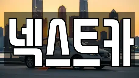 부산 사하구 신평동 장기렌트카 전문 넥스트카