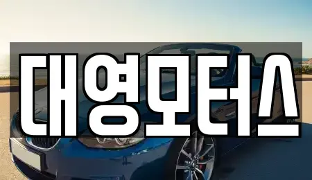 부산 사하구 신평동 중고차 전문 대영모터스