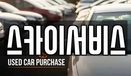 부산 사하구 신평동 중고차 전문 스카이서비스