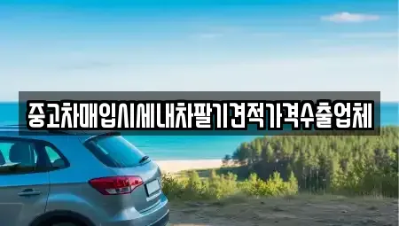부산 사하구 신평동 중고차매입 전문 중고차매입시세내차팔기견적가격수출업체
