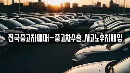 부산광역시 서구 토성동1가 중고차 전문 전국중고차매매-중고차수출,사고노후차매입