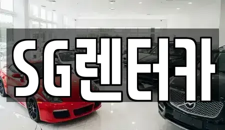 부산광역시 중구 중앙동6가 렌트카 전문 SG렌터카