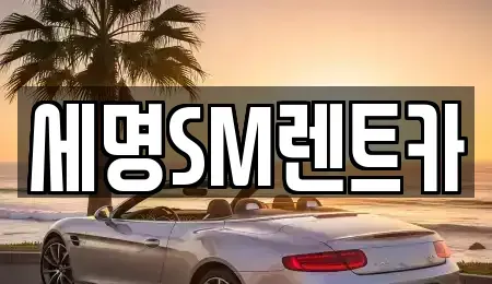 부산광역시 중구 중앙동6가 렌트카 전문 세명SM렌트카