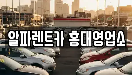 서울 렌트카 전문 알파렌트카 홍대영업소