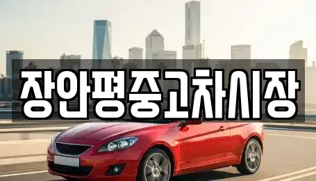 서울 종로구 송월동 중고차매매 전문 장안평중고차시장
