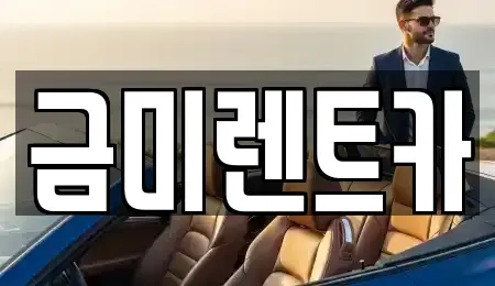 서울 종로구 통인동 렌트카 전문 금미렌트카