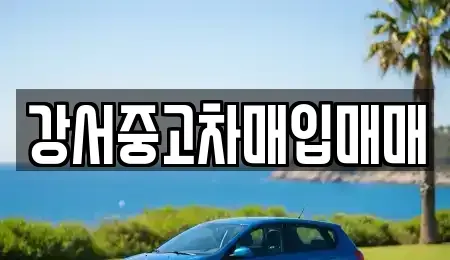 서울 중고차 전문 강서중고차매입매매