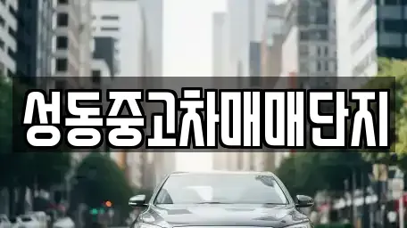 서울 중고차 전문 성동중고차매매단지