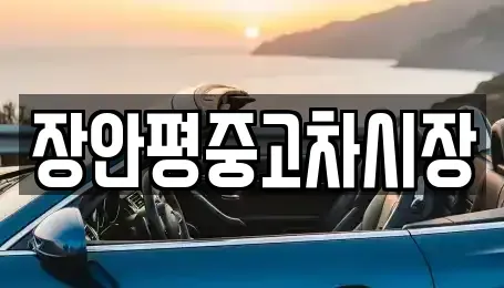 서울 중고차 전문 장안평중고차시장