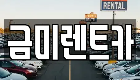 서울특별시 구로구 궁동 렌트카 전문 금미렌트카