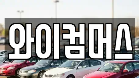 서울특별시 성북구 동소문동5가 렌트카 전문 와이컴머스