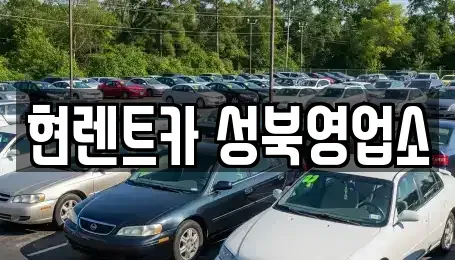 서울특별시 성북구 동소문동5가 렌트카 전문 현렌트카 성북영업소