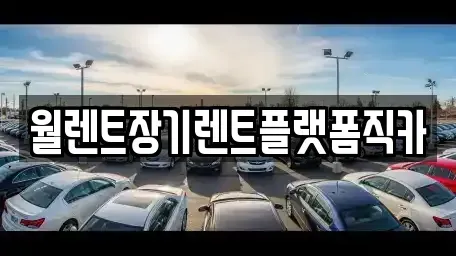 서울특별시 성북구 동소문동5가 장기렌트카 전문 월렌트장기렌트플랫폼직카