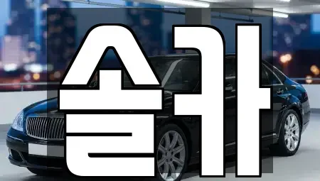 서울특별시 성북구 동소문동5가 중고차 전문 솔카