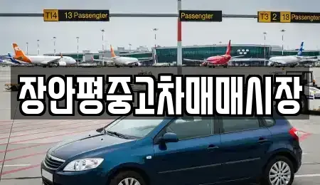 서울특별시 성북구 동소문동5가 중고차 전문 장안평중고차매매시장