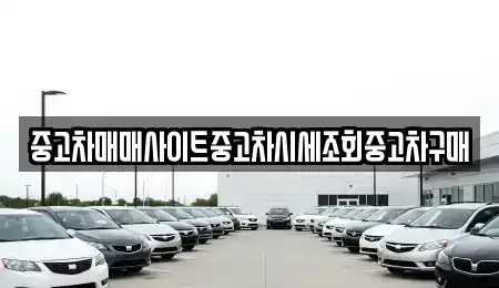 서울특별시 성북구 동소문동5가 중고차 전문 중고차매매사이트중고차시세조회중고차구매
