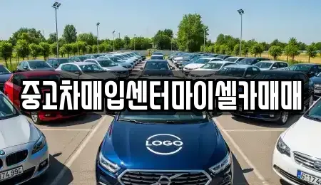 서울특별시 성북구 동소문동5가 중고차매입 전문 중고차매입센터마이셀카매매