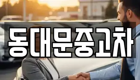 서울특별시 성북구 안암동4가 중고차매매 전문 동대문중고차