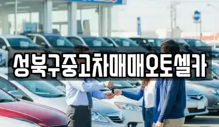 서울특별시 성북구 안암동4가 중고차매매 전문 성북구중고차매매오토셀카