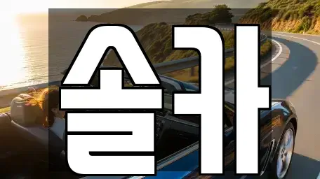 서울특별시 성북구 안암동4가 중고차매매,단기렌트카,중고차매입,장기렌트카,중고차,렌트카