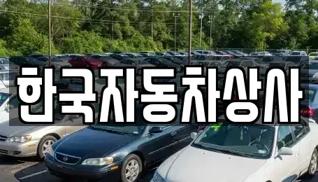 서울특별시 성북구 안암동4가 중고차매매 전문 한국자동차상사