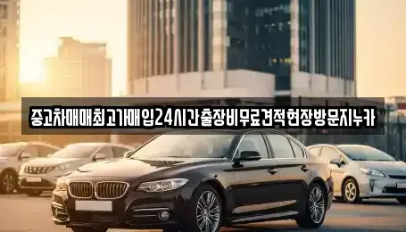 서울특별시 성북구 안암동4가 중고차매입 전문 중고차매매최고가매입24시간출장비무료견적현장방문지누카