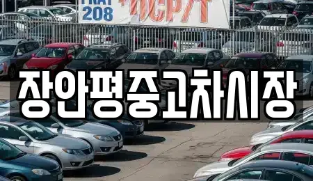 서울특별시 은평구 수색동 중고차매매 전문 장안평중고차시장