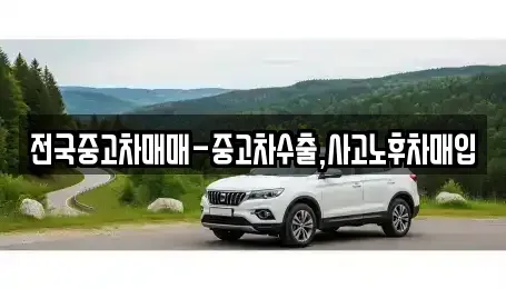 서울특별시 은평구 수색동 중고차매입 전문 전국중고차매매-중고차수출,사고노후차매입