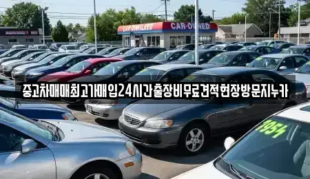서울특별시 은평구 수색동 중고차매입 전문 중고차매매최고가매입24시간출장비무료견적현장방문지누카
