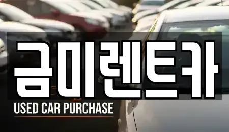 서울특별시 종로구 신교동 렌트카 전문 금미렌트카