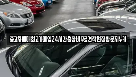 서울특별시 종로구 신교동 중고차매입 전문 중고차매매최고가매입24시간출장비무료견적현장방문지누카