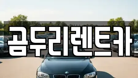 울산 동구 렌트카 전문 곰두리렌트카